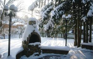 Awesome home in Trieb with 1 Bedrooms and WiFi