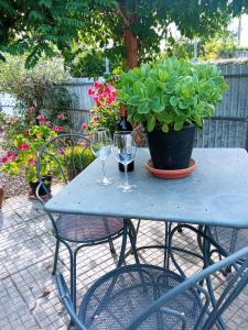 Azevinho Guest House