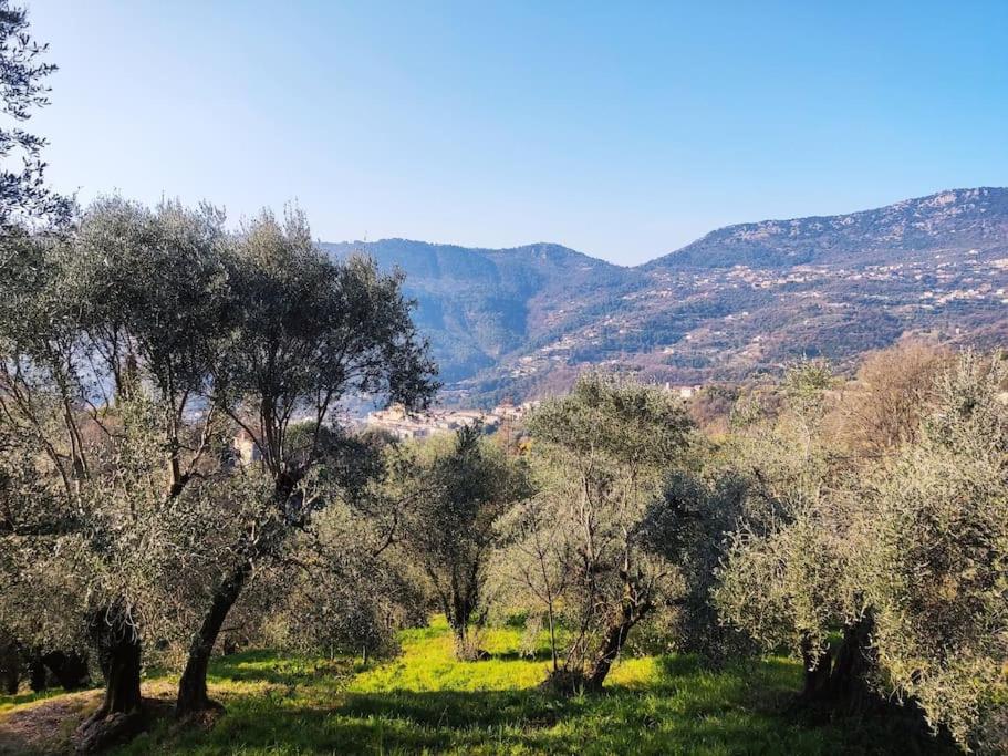 Bas de villa. Côte d'Azur, à 20 kms de Nice 107 Chemin Serre de Fraou, 06390 Contes