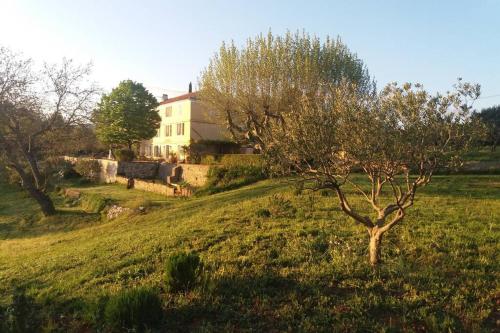 Bastide au milieu des vignes et des oliviers Aups