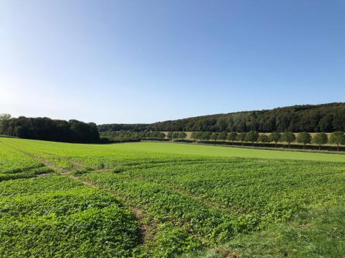 Baumberger Ferienhaus mit Garten & Wintergarten mit 3 Schlafzimmern & 2 Bädern