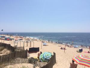 Beach House