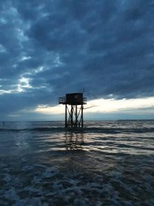 beau t2 tharon
