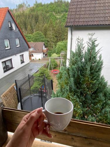 Beautiful 1-Bed House in Altenau