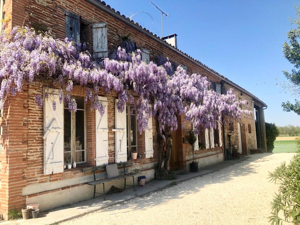 Maison de vacances Beautiful 6 Bedroom Farm House in Tarn et Garonne  82100 Castelferrus