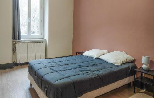 Beautiful home in Vicdessos with WiFi and 7 Bedrooms