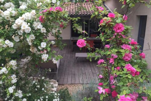 Beautiful house in the heart of its pine forest - private pool