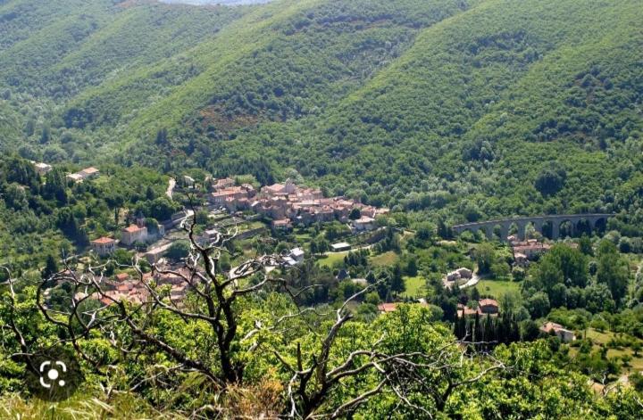 belle des cévennes Rue Aimé Fonzes, 30770 Aumessas