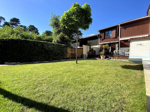 Belle maison au milieu des pins