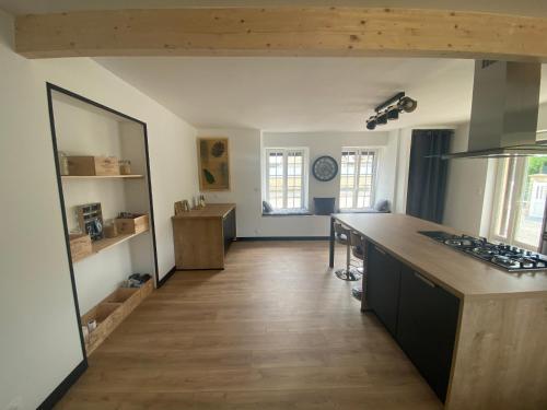 Belle maison avec grand jardin proche St Malo