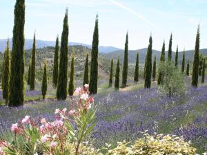 Maison de vacances Bergerie Marcel Maison Chemin du Rouire 23 11360 Durban-Corbières Languedoc-Roussillon