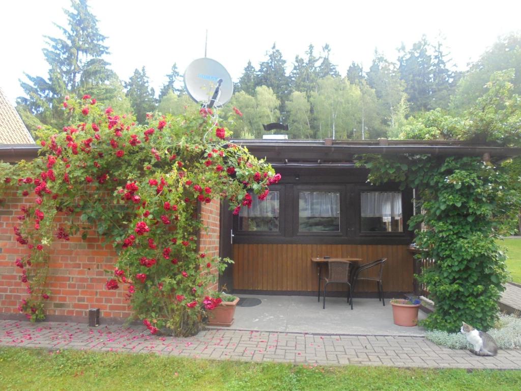 Maison de vacances Bergfreiheit Alte Wernigeröder Straße 1a 38879 Schierke