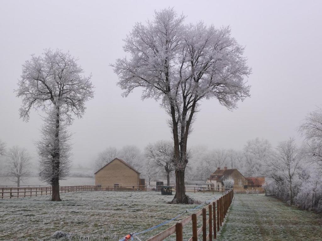 Maison de vacances Bienvenue à La Grenouillère 1, La Grenouillère 36400 Le Magny