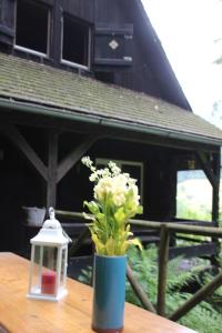 Black Forest House
