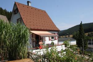 Maison de vacances BlackforestBike&HikeHouse 21 Kniebisweg 72270 Baiersbronn Bade-Wurtemberg