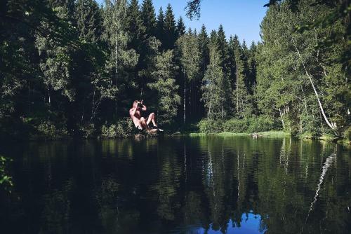 Blickinsfreie - Cabin
