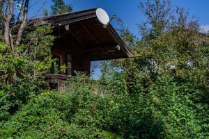 Blockhütte / Ferienhütte