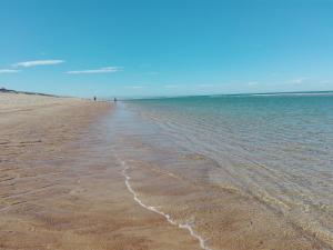 Blue Ocean