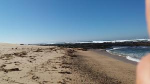 Blue Ocean