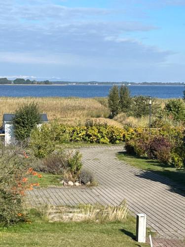 Bodden-Adler