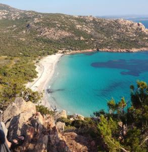 Maison de vacances Bonifacio,Studio indépendant, sous les oliviers parmentile route de canetto 20169 Bonifacio Corse