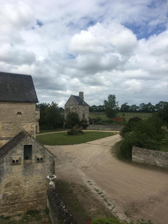 Boutons d'or D12 Route de Douvres, 14480 Tierceville