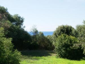 Bright Home in Carg se Corse du Sud with Barbecue