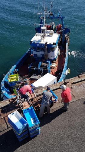 Brise Océane