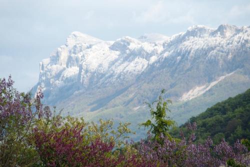 Bulle sur Sye en Drome