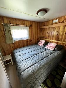Bungalow de 2 chambres avec jardin amenage et wifi a Cauterets