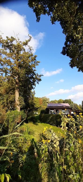 Bungalow Idylle Am See Altseehof 1, 16818 Neuruppin