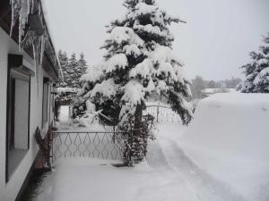 Bungalow Krebs