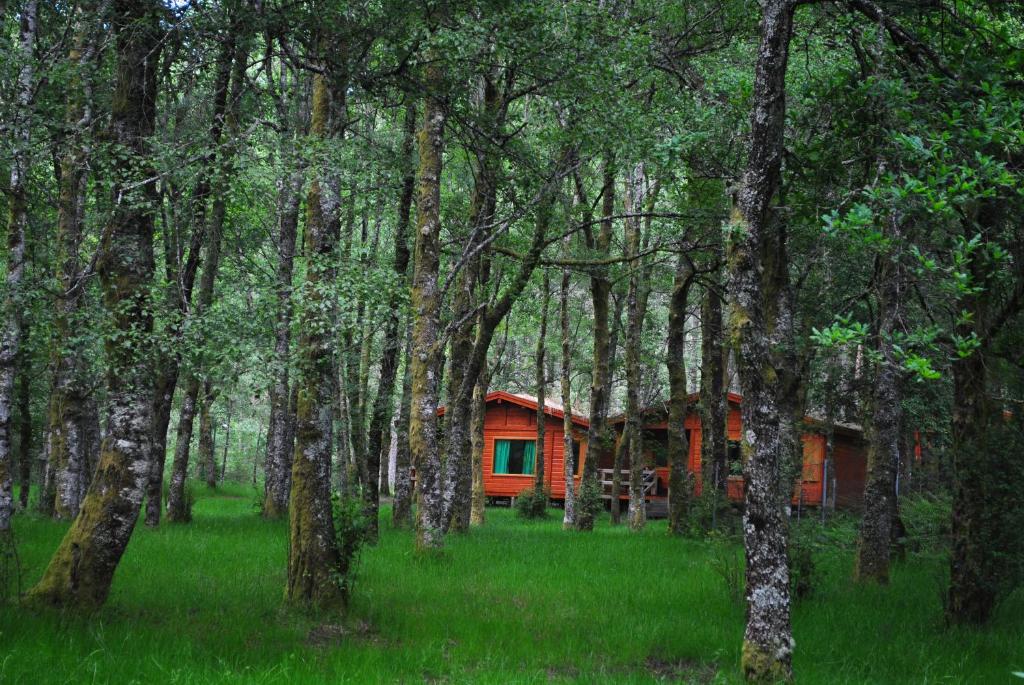 Maison de vacances Bungalows da Peneda Veigas 4960-170 Lamas de Mouro