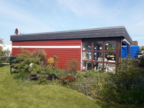 Büsumer blaue Krabbe