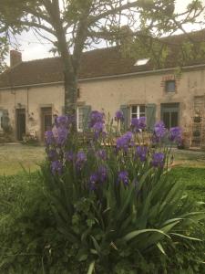 Maison de vacances By The Wayside La Villatte 87360 Lussac-les-Églises Limousin