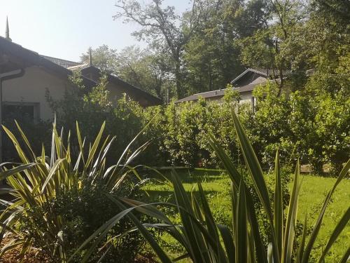 Cabane chic et romantique SEMILLON près de Bordeaux