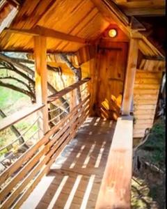 Cabane Dans les Arbres