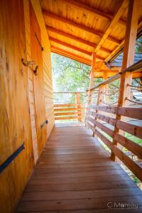 Cabane Dans les Arbres