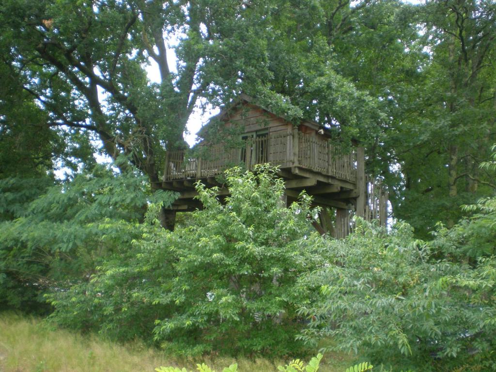 Maison de vacances cabane perchée 29 ter chemin départemental 44 40210 Solférino
