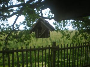 Maison de vacances cabane perchée 29 ter chemin départemental 44 40210 Solférino Aquitaine