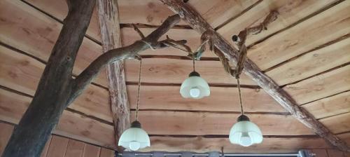 Cabane sur pilotis au bord de l'eau