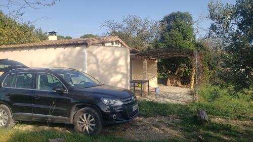 Cabanon provençal au milieu des oliviers-T2 à Fontvieille