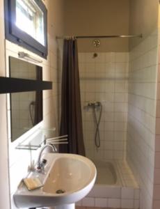 Cabanon provençal au milieu des oliviers-T2 à Fontvieille