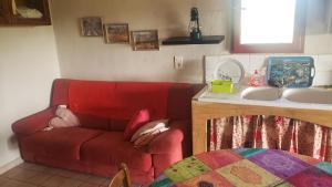 Cabanon provençal au milieu des oliviers-T2 à Fontvieille