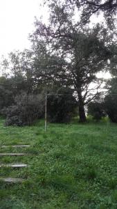 Campagne lei suves