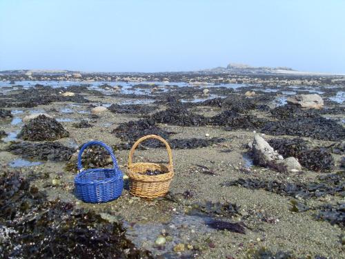 Cap sur Pen ar Valy à Plougoulm