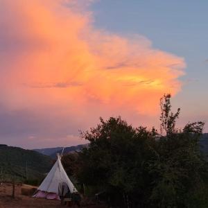 Captivating Tipi dans La foret du Dragon in Murols