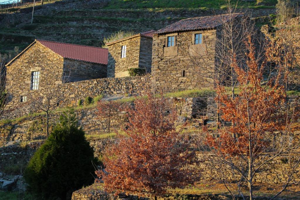 Maison de vacances Cardenha do Douro Rua do Pombal 60, Oliveira 5040-213 Mesão Frio