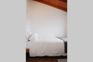 Casa 61