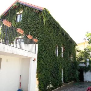 Casa Agrícola Do Limonete - Pet Friendly